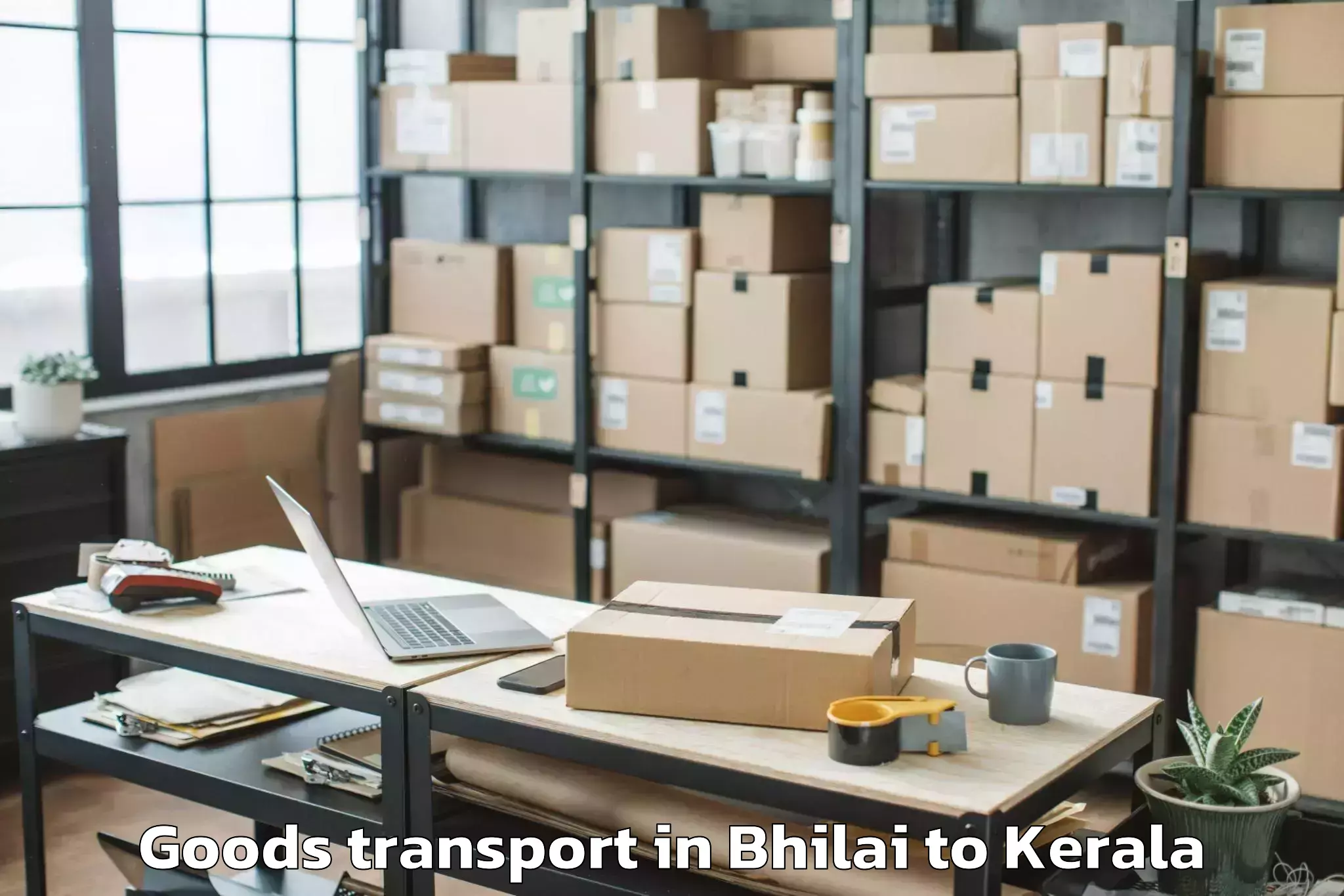 Leading Bhilai to Ottappalam Goods Transport Provider